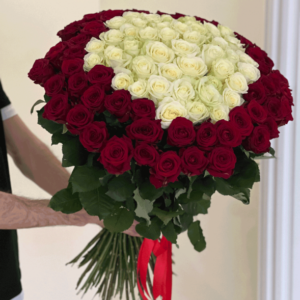 101 роза красная и в середине белая в Белогорске