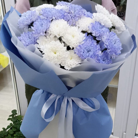 7 белых и голубых хризантем  в Белогорске