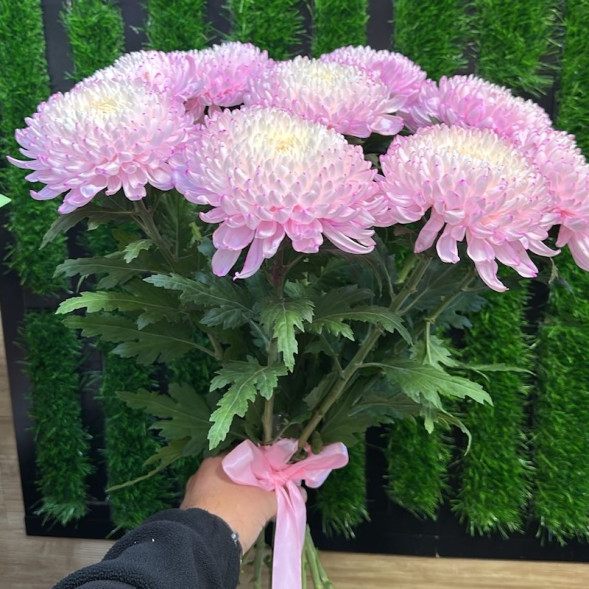 Лунный блик в Белогорске