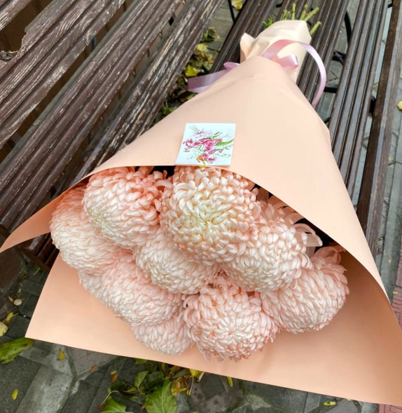 Снежная корона в Белогорске