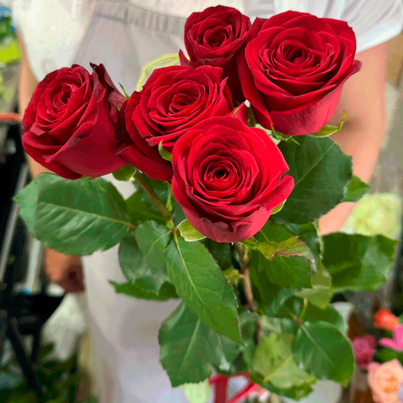 5 красных роз в Белогорске