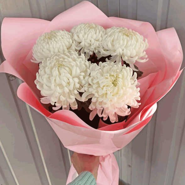 Букет 5 одноголовых хризантем в Белогорске