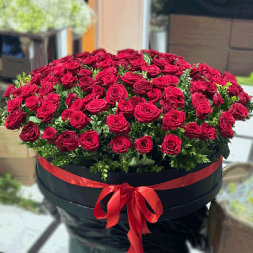 101 красная роза в шляпной коробке